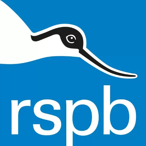 Rspd and PL Projects